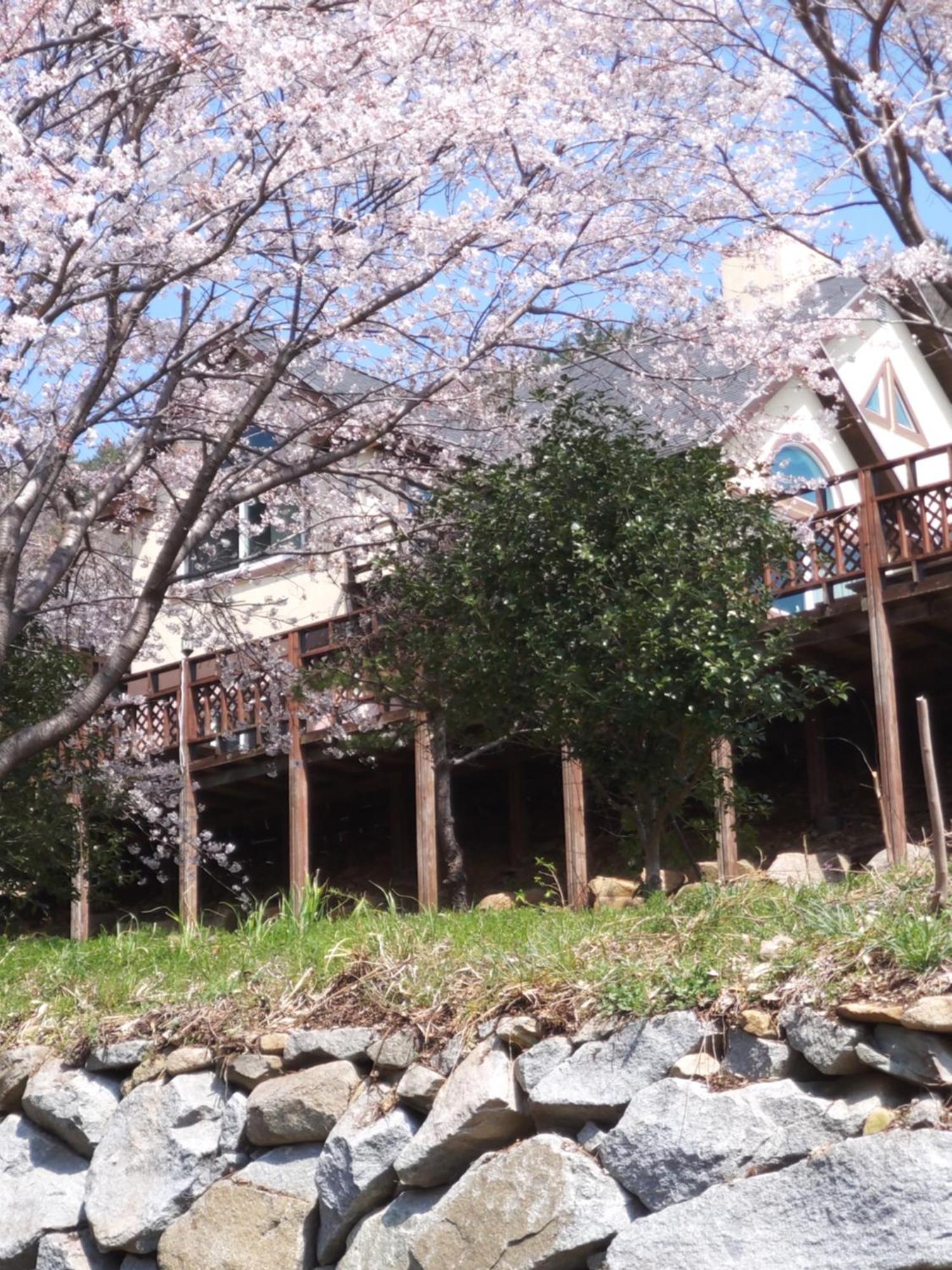 Hotel White House à Namhae Extérieur photo